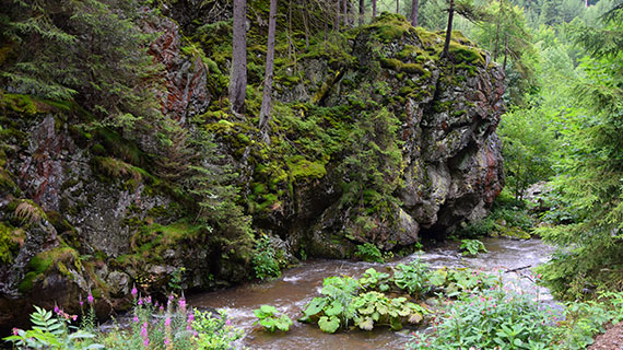 Die Steinachklamm im Steinachtal